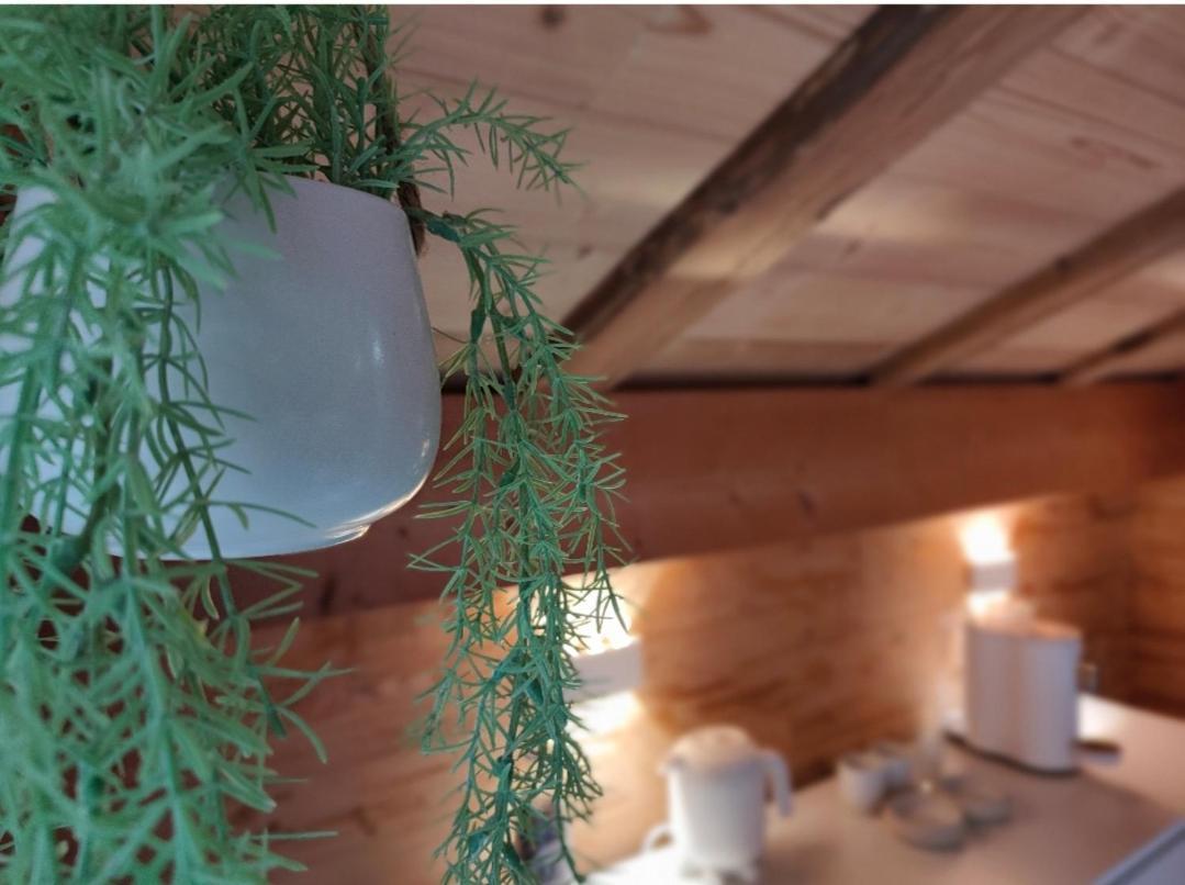 Chambre Boille A Lait Entremont Bagian luar foto