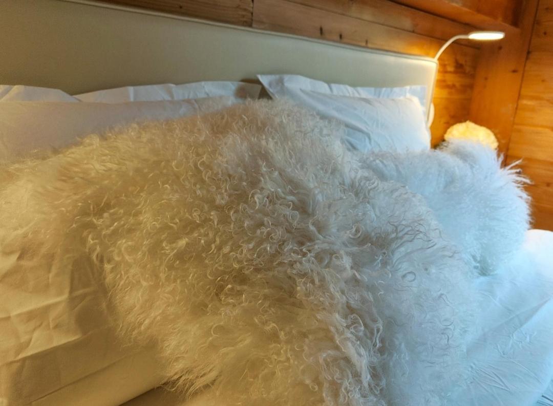 Chambre Boille A Lait Entremont Bagian luar foto
